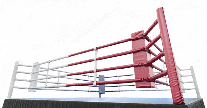 WRESTLING RING STEEL CAGE – Monster Rings and Cages