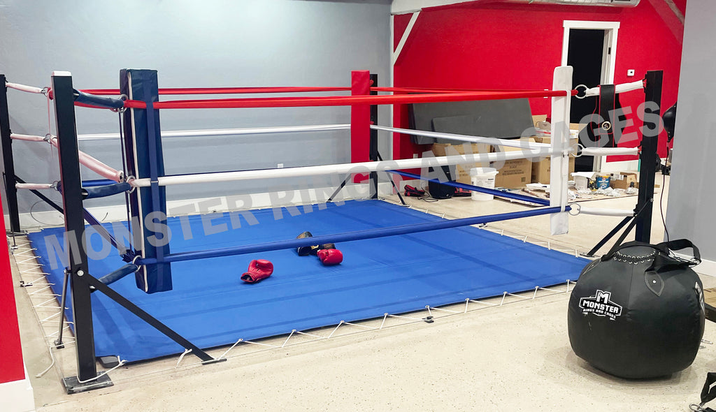 Professional 20' X 20' Wrestling Ring | Made in USA | ProRingsAndCages.com