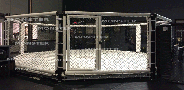 LOWBOY MMA GYM CAGE