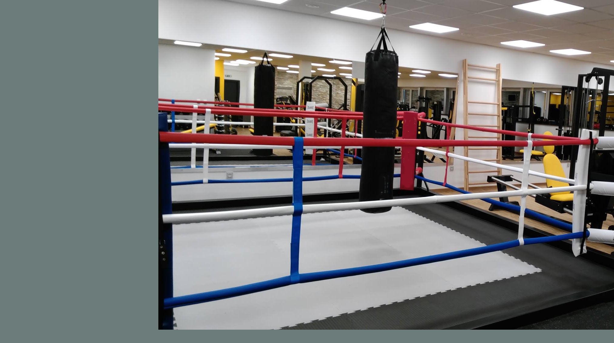 SELF-STANDING FLOOR BOXING RING Monster Rings and Cages