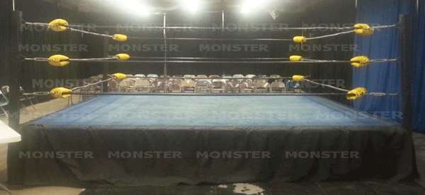 Monster Lowboy Style 2 wrestling ring package with yellow turnbuckle pads.  We build the strongest wrestling rings in the world