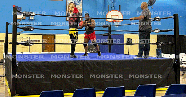 A Monster Pro Wrestling Ring is the best wrestling ring available