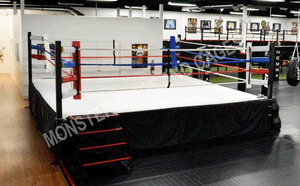 Monster Classic Gym Boxing Ring in gym