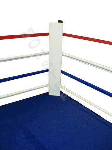BOXING RING SUPPLIES – Monster Rings and Cages